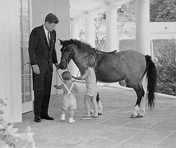 http://www.presidentialpetmuseum.com/photos/Pets/jk_horse.jpg