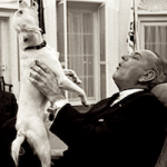 White House Pets - Photo Gallery - Presidential Pets Museum